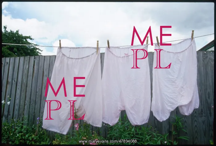 : BLOOMERS ON CLOTHES LINE : BLOOMERS ON CLOTHES LINE