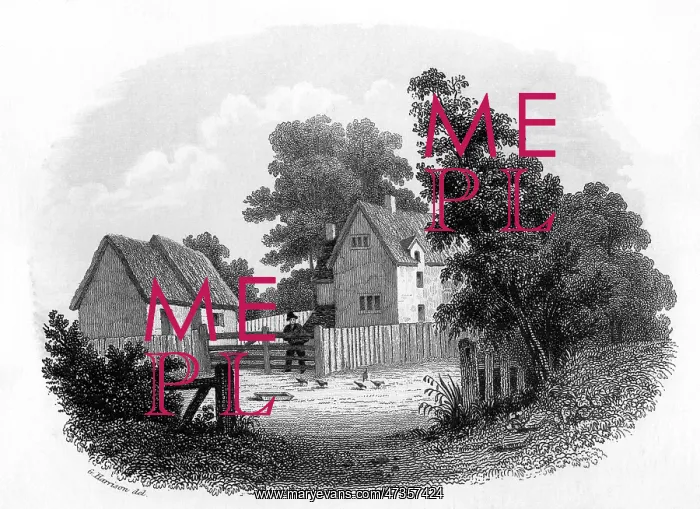 : BLOOMFIELD EARLY HOME : BLOOMFIELD EARLY HOME