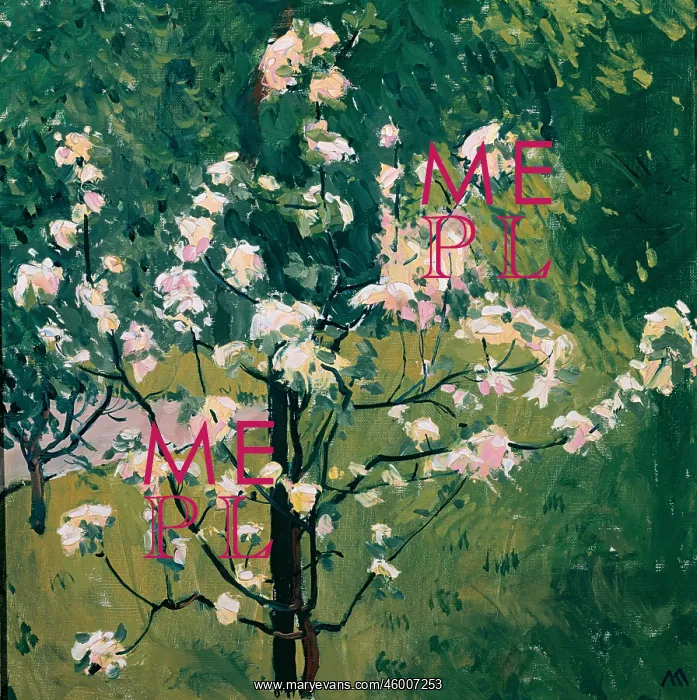  : Blooming tree in the garden