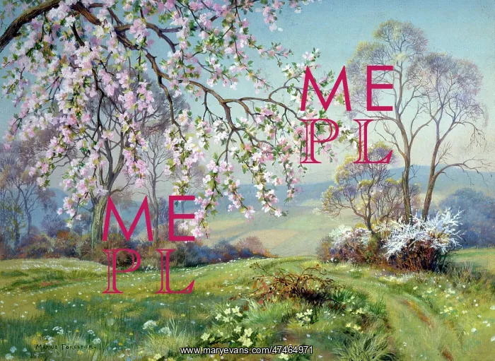 : Blossom and Primroses ? spring landscape