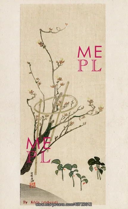 : Blossom Tree with bamboo supports by Ogata Korin : Blossom Tree with bamboo supports by Ogata Korin