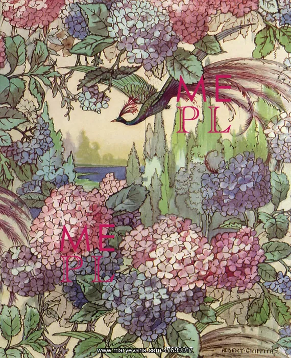  : Blossoms and Peacock