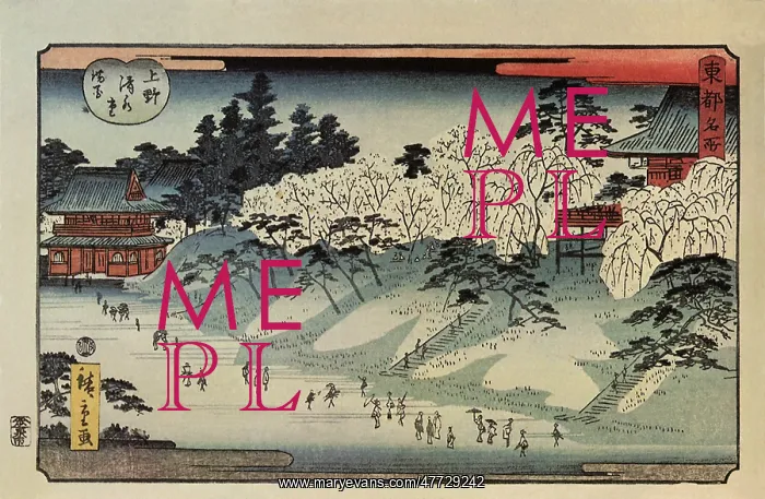 : Full Blown Cherry Blossoms at Kiyomizu-do, Ueno : Full Blown Cherry Blossoms at Kiyomizu-do, Ueno