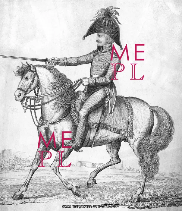: BLUCHER ON HORSEBACK : BLUCHER ON HORSEBACK