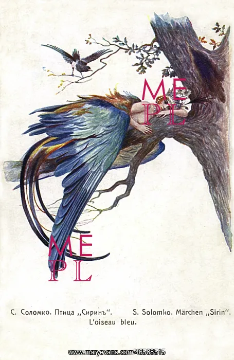 : Blue Bird (Bird Sirin) - Sergey Solomko : Blue Bird (Bird Sirin) - Sergey Solomko