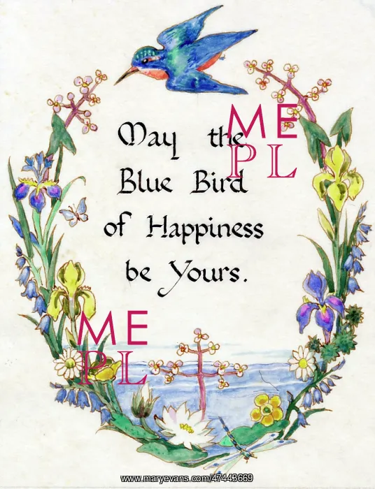  : Blue Bird Epigram