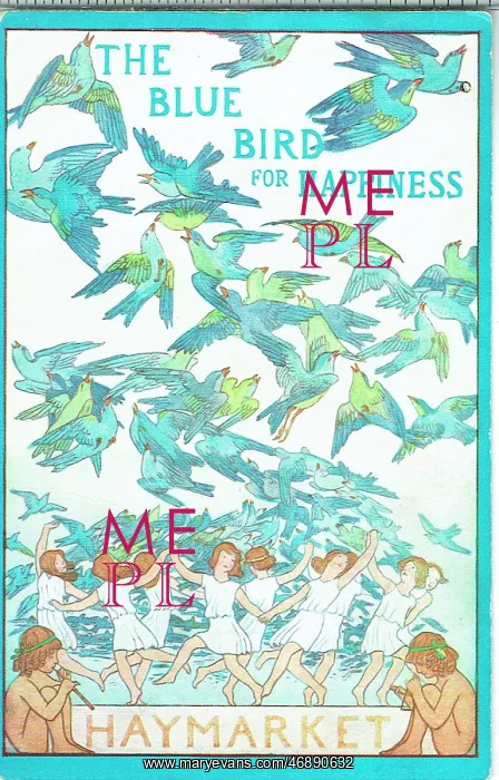 : The Blue Bird for Happiness by M. Maeterlinck : The Blue Bird for Happiness by M. Maeterlinck
