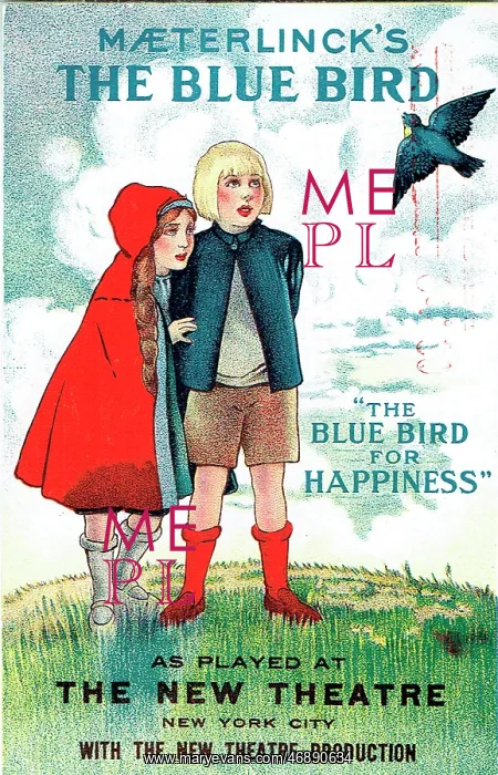 : The Blue Bird for Happiness by M. Maeterlinck : The Blue Bird for Happiness by M. Maeterlinck