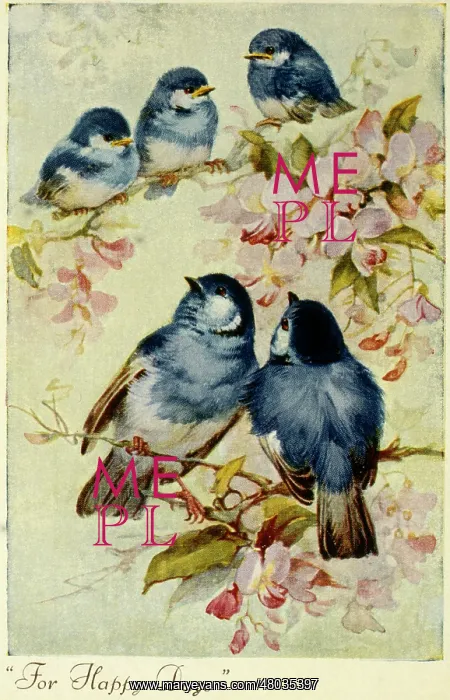  : Five blue birds