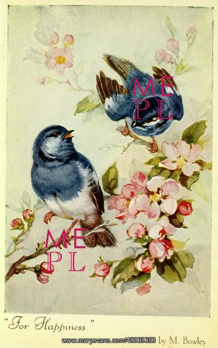 : Two blue birds and pink blossom : Two blue birds and pink blossom