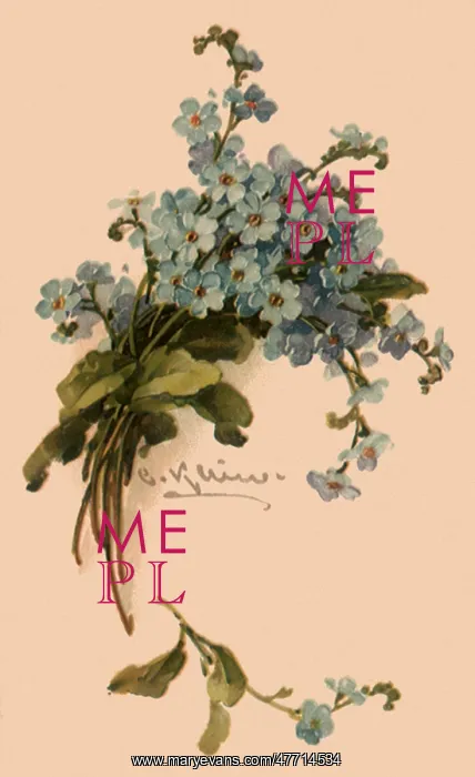  : Blue Bouquet