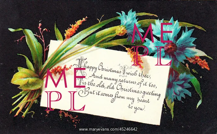 : Blue cornflowers on a Christmas card : Blue cornflowers on a Christmas card