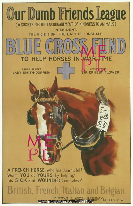 : BLUE CROSS FUND POSTER : BLUE CROSS FUND POSTER