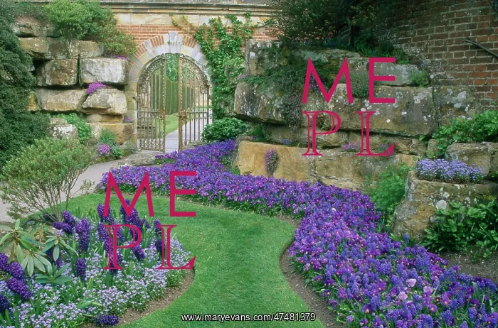 : Blue Garden at Hever Castle : Blue Garden at Hever Castle