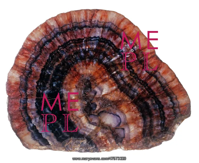 : Blue John specimen : Blue John specimen
