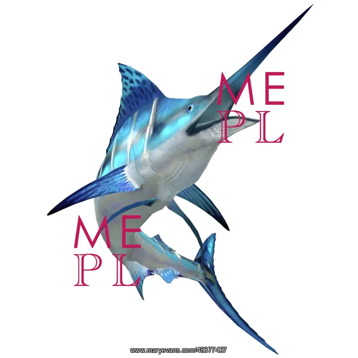 : Blue Marlin : Blue Marlin