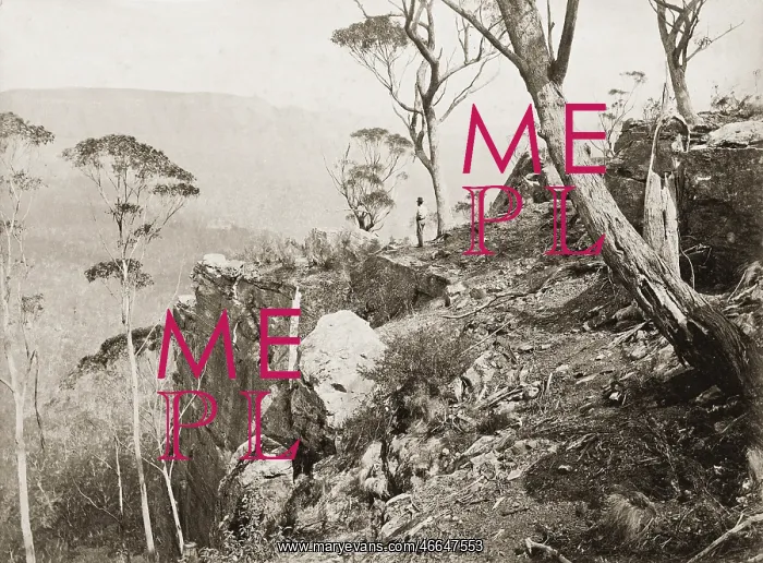 : In the Blue Mountains : In the Blue Mountains