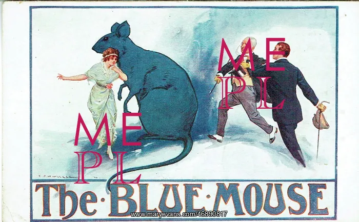 : The Blue Mouse adapted by Roy Horniman : The Blue Mouse adapted by Roy Horniman