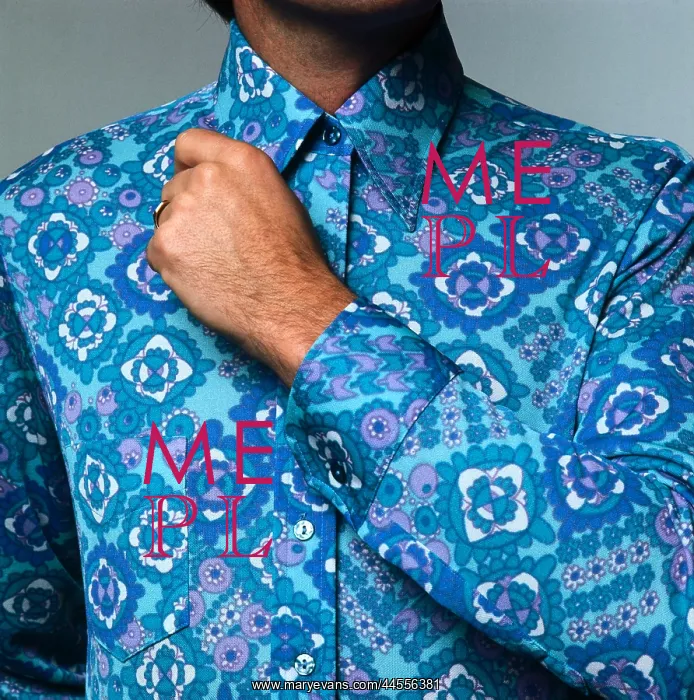  : Blue Paisley shirt
