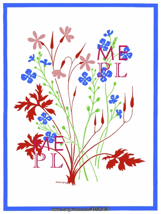  : Blue and Pink Flower Design