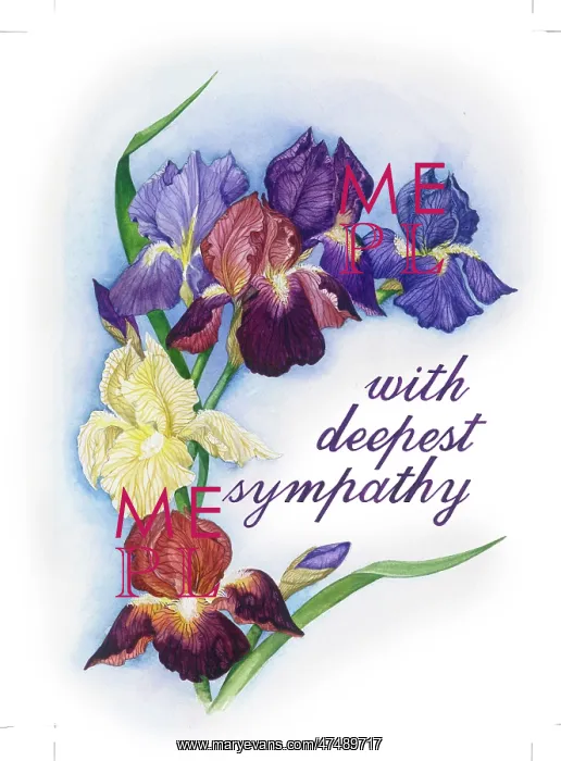 : Blue, purple and yellow irises : Blue, purple and yellow irises