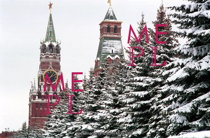 : Blue spruces by Moscow Kremlin Wall, 1997 : Blue spruces by Moscow Kremlin Wall, 1997