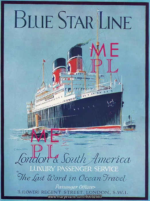: Blue Star Line advertisement : Blue Star Line advertisement