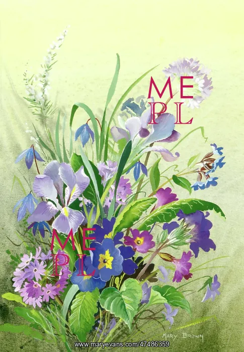  : Blue study with assorted flowers