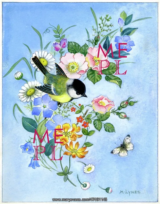 : Blue tit on a bunch of wild flowers : Blue tit on a bunch of wild flowers