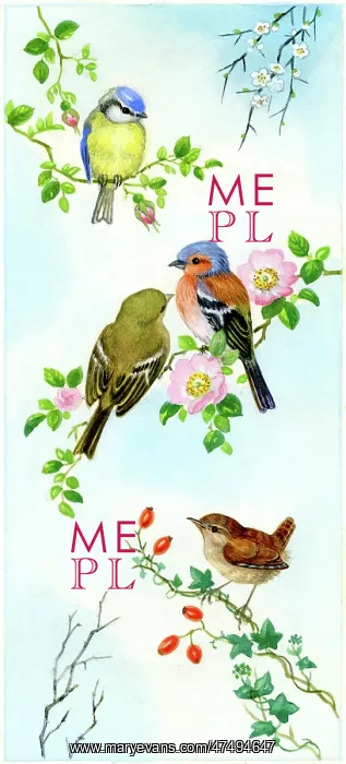 : Blue tit, Chaffinches and Wren on rose : Blue tit, Chaffinches and Wren on rose