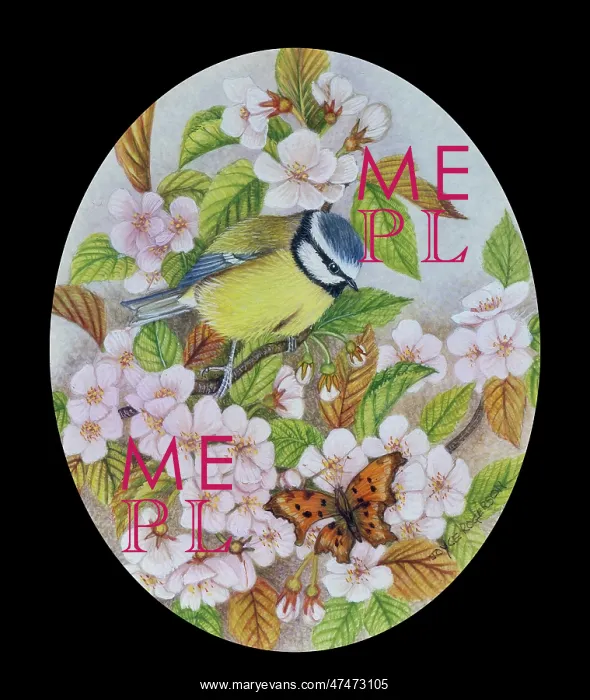  : Blue Tit and Common Butterfly on Blossom