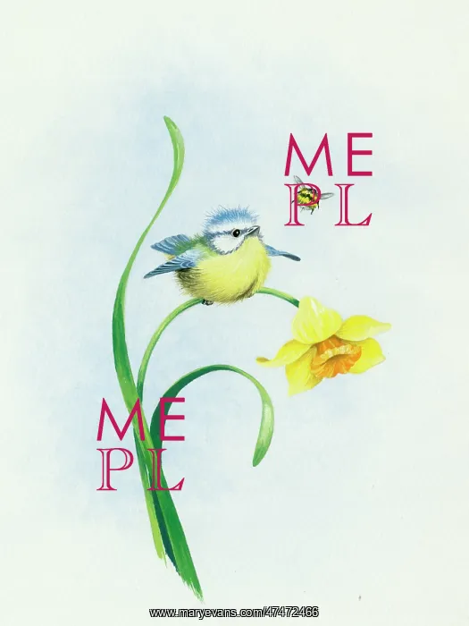  : Blue tit on a daffodil with bee