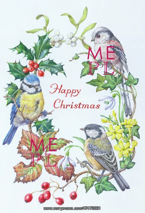: Blue Tit, Long-tailed Tit and Coal Tit with holly : Blue Tit, Long-tailed Tit and Coal Tit with holly