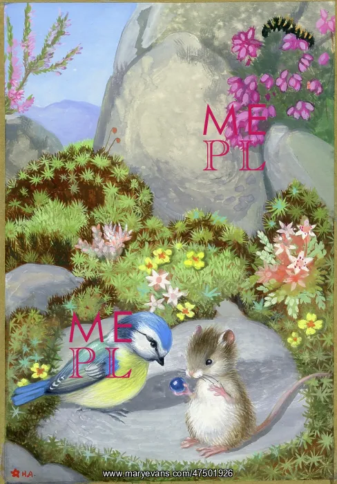 : Blue tit and mouse on rocks : Blue tit and mouse on rocks