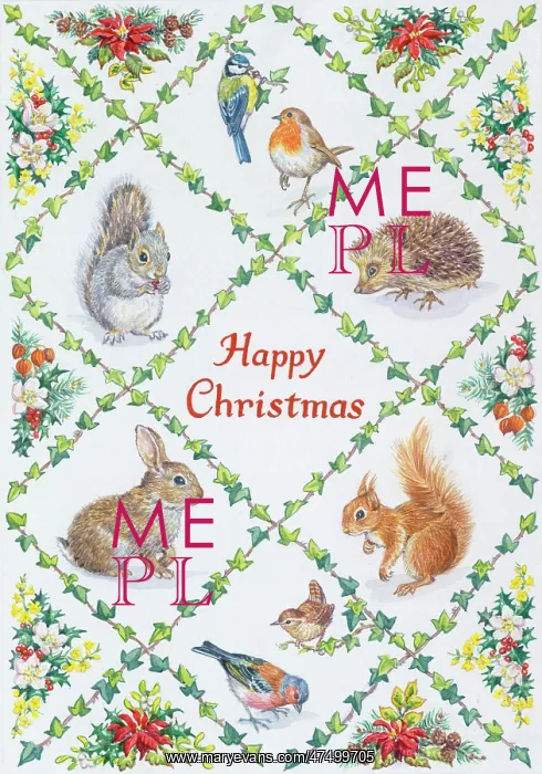 : Blue tit, robin, hedgehog, red squirrel, wren etc : Blue tit, robin, hedgehog, red squirrel, wren etc