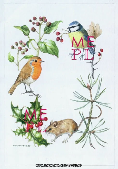 : Blue Tit, Robin and Mouse : Blue Tit, Robin and Mouse