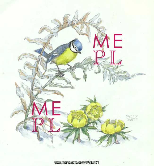 : A blue tit sitting on a plant in a snowy scene : A blue tit sitting on a plant in a snowy scene