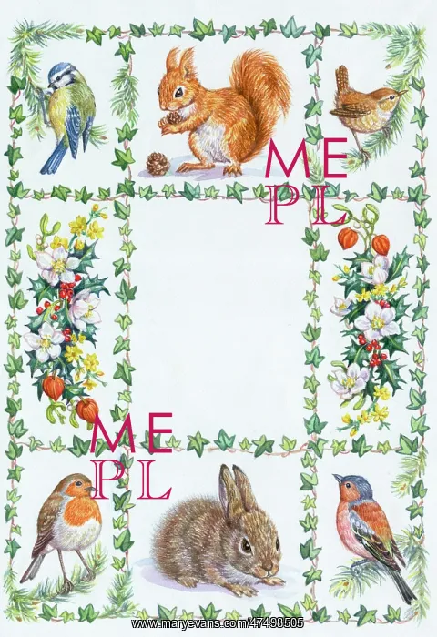 : Blue tit, squirrel, wren, robin, rabbit etc : Blue tit, squirrel, wren, robin, rabbit etc
