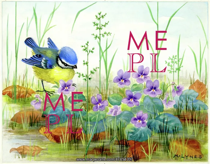  : Blue tit and violets by a stream