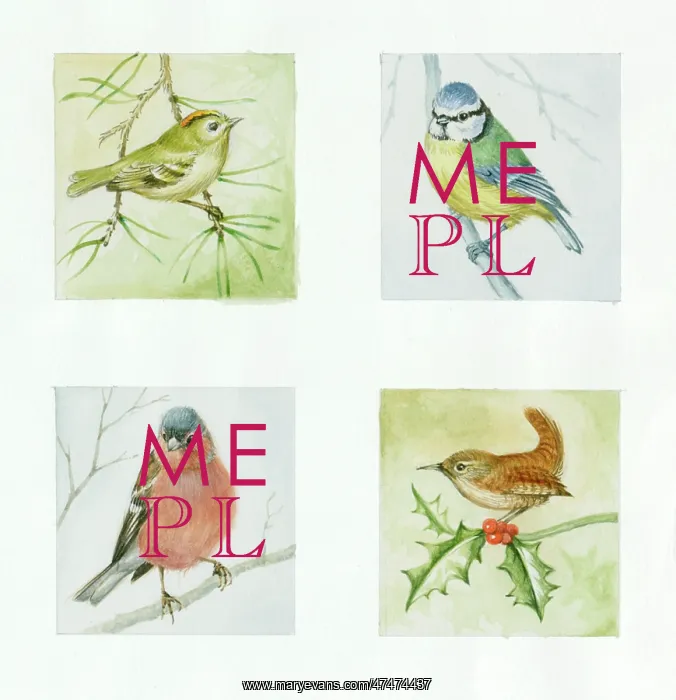  : Blue tit, wren, chaffinch and goldcrest