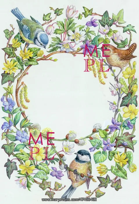 : Blue tit, wren and coal tit with spring flowers : Blue tit, wren and coal tit with spring flowers
