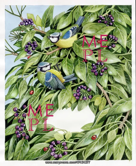  : Two Blue Tits