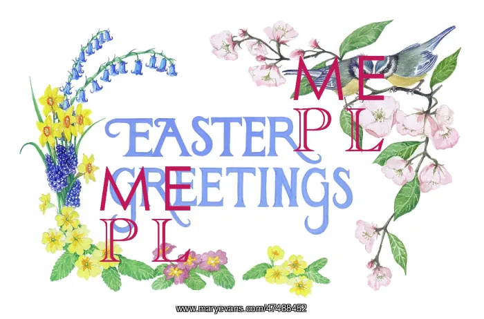 : Blue Tits, apple blossom and spring flowers : Blue Tits, apple blossom and spring flowers