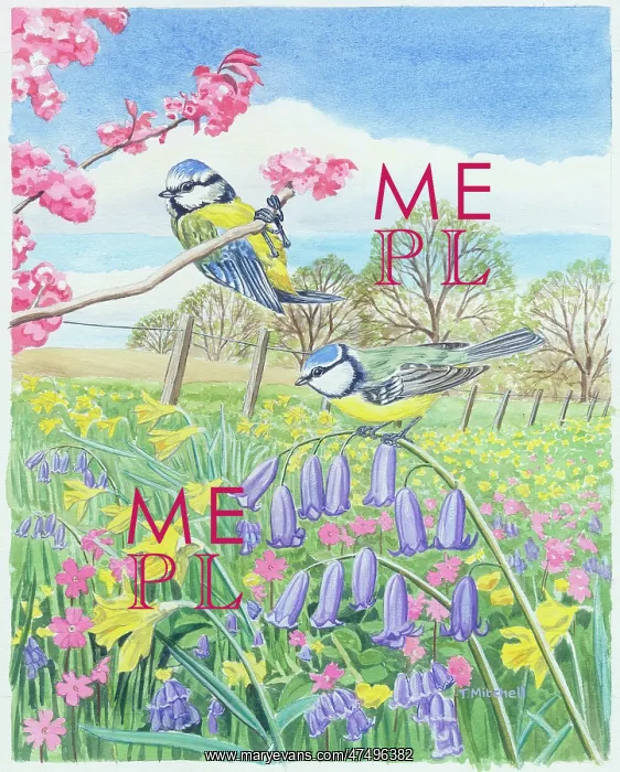 : Two Blue Tits with bluebells, daffodils & blossom : Two Blue Tits with bluebells, daffodils & blossom