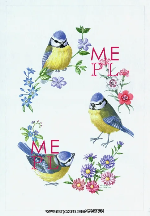  : Blue Tits with carnations and other flowers
