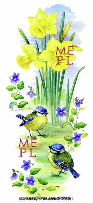  : Two Blue tits with daffodils and violets