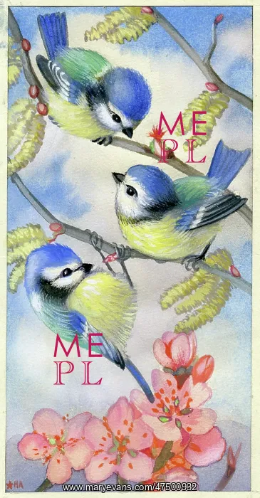 : Blue Tits with hazel catkins and blossom : Blue Tits with hazel catkins and blossom