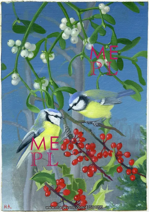  : Blue Tits with holly and mistletoe