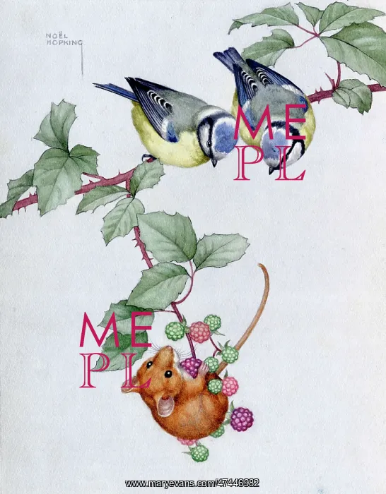  : Two Blue Tits and a Mouse
