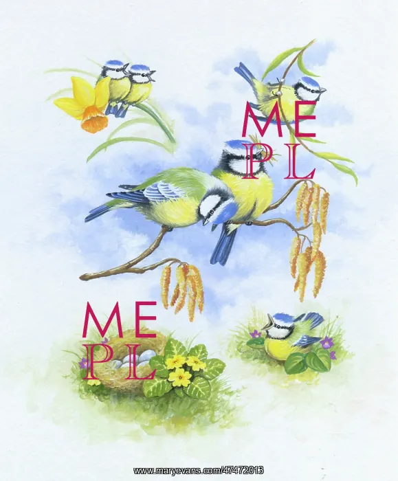  : Blue tits with nest and flowers